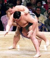Ozeki Kaio still unbeaten at spring sumo
